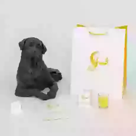 Rottweiler Urn